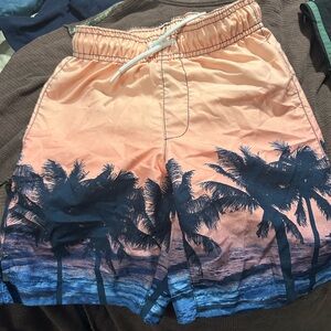 Place Men's Palm Tree Sunset Shorts